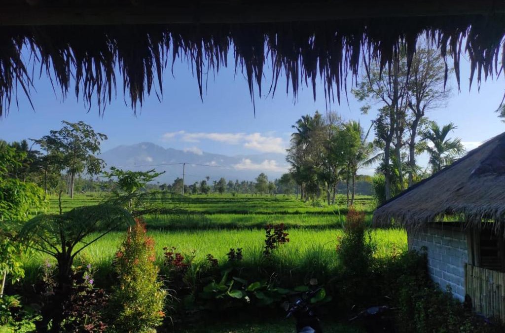 Kotaraja House | New Rinjani Homestay