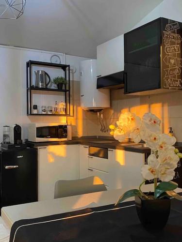 Oltrestazione Apartment | NEW Studio RHO FIERA-Legnano