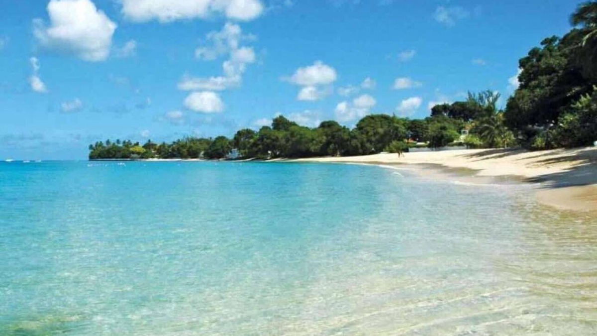 Gibbes House | New Stylish 3BR, Walk to Beach! Pool