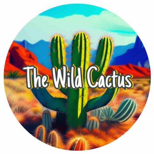 Lubbock House | NEW*The Wild Cactus- Best of LBK w/TennisCourts