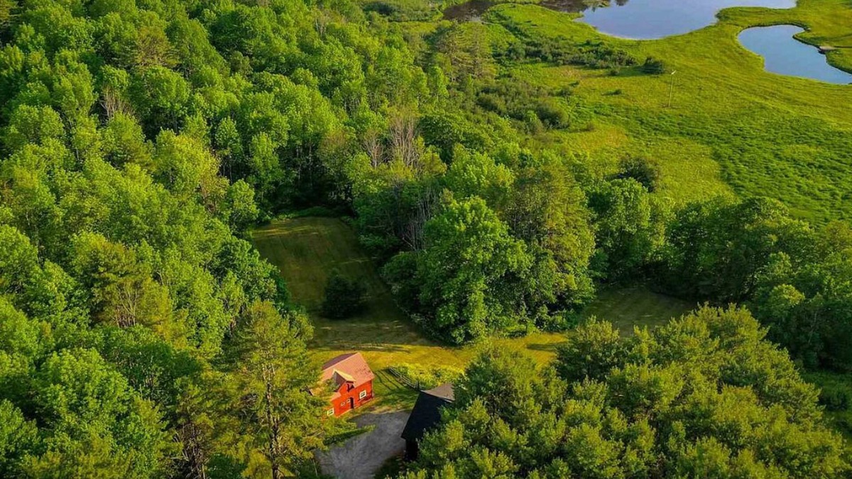 Woodstock House | New! Thorn Apple Retreat - Fully renovated 3BD Cottage with Views