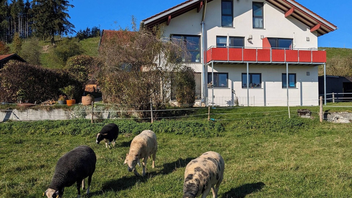 Waltenhofen Apartment | NEW - Time-out at an idyllic ranch