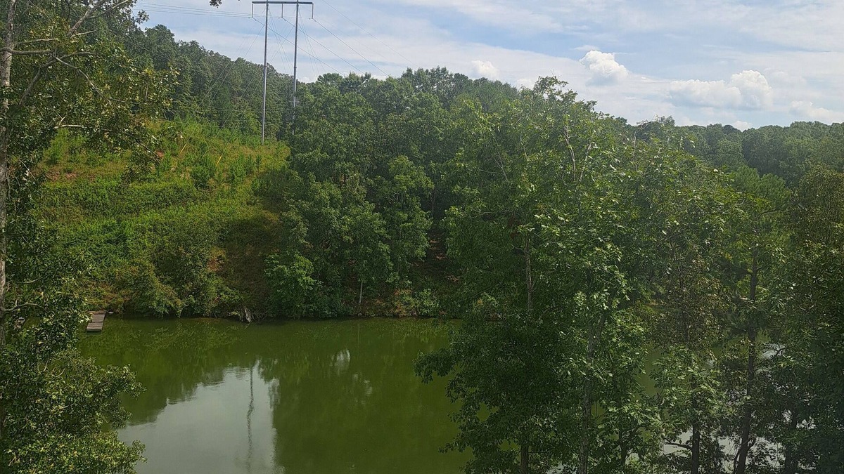 Wedowee House | New to the Market-MY HAPPY PLACE- Spacious 2 bd/2ba home with dock