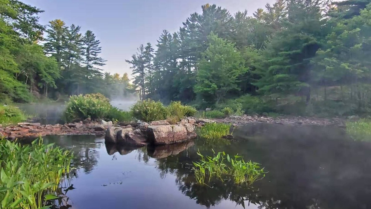 Seguin Cottage | Newly designed beautiful cottage by the water on Parry Sound