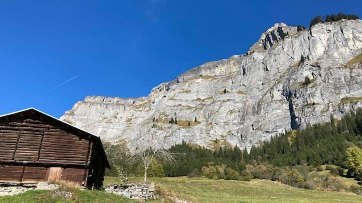 Flims Apartment | Newly refurbished flat in the heart of Flims