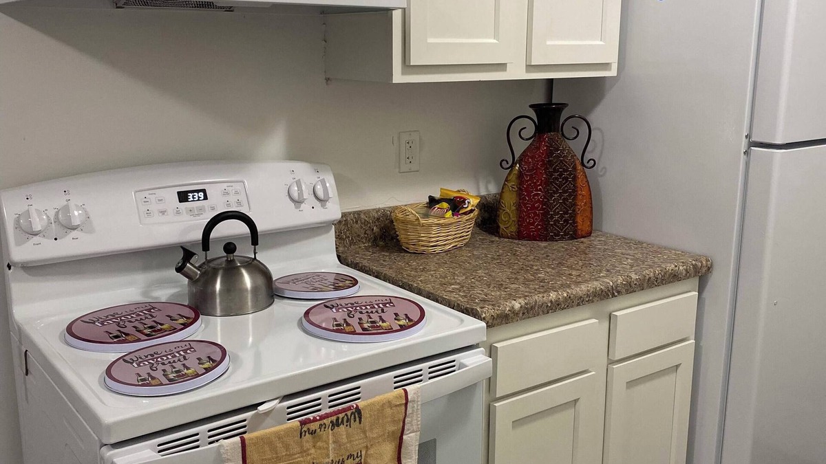 East Lansing Apartment | Newly Remodeled and Cozy Apartment close to MSU, Hospitals, and Entertainment!