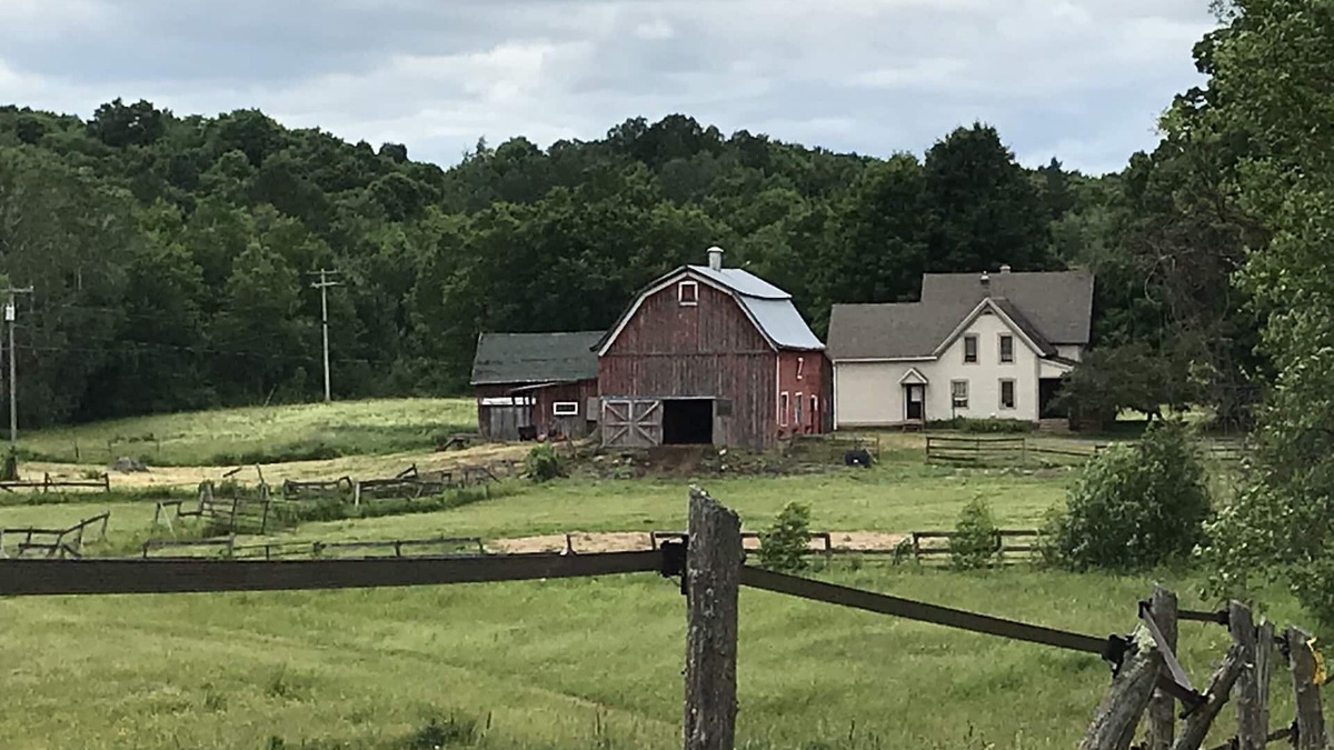 Colton House | Newly Renovated “Cedar Ridge Farm" - a 250 yr old farm on 150 acres