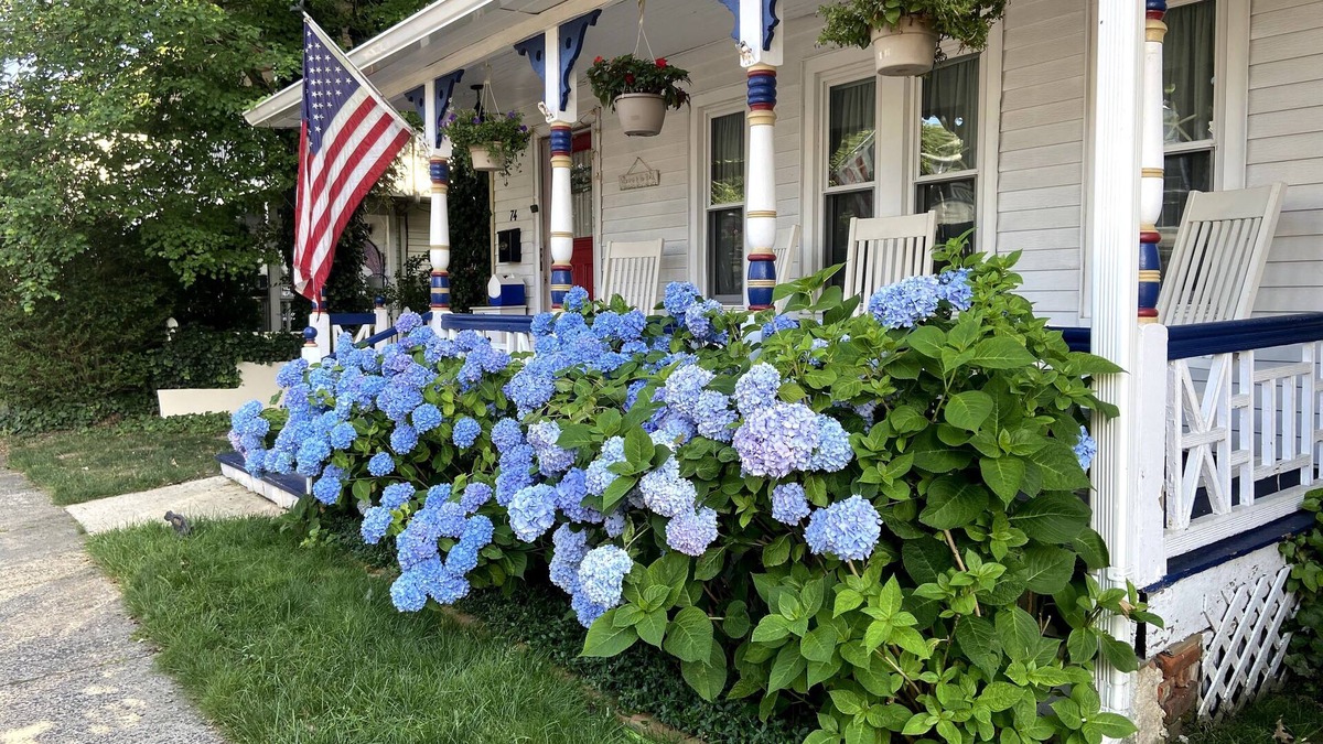 Ocean Grove Apartment | Newly renovated cheery 1BR vacation rental with private outdoor deck!