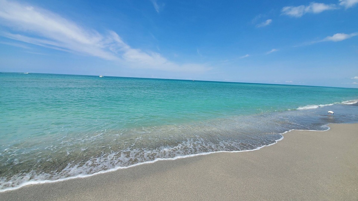 Golden Beach Condo | Newly Renovated Condo On Private Venice Beach, Relax in Paradise