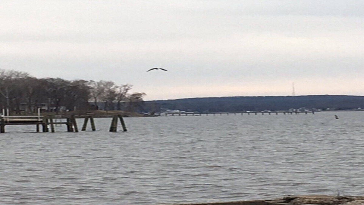 Perryville House | * NEWLY RENOVATED* Escape to a Beautiful Getaway on the Chesapeake Bay