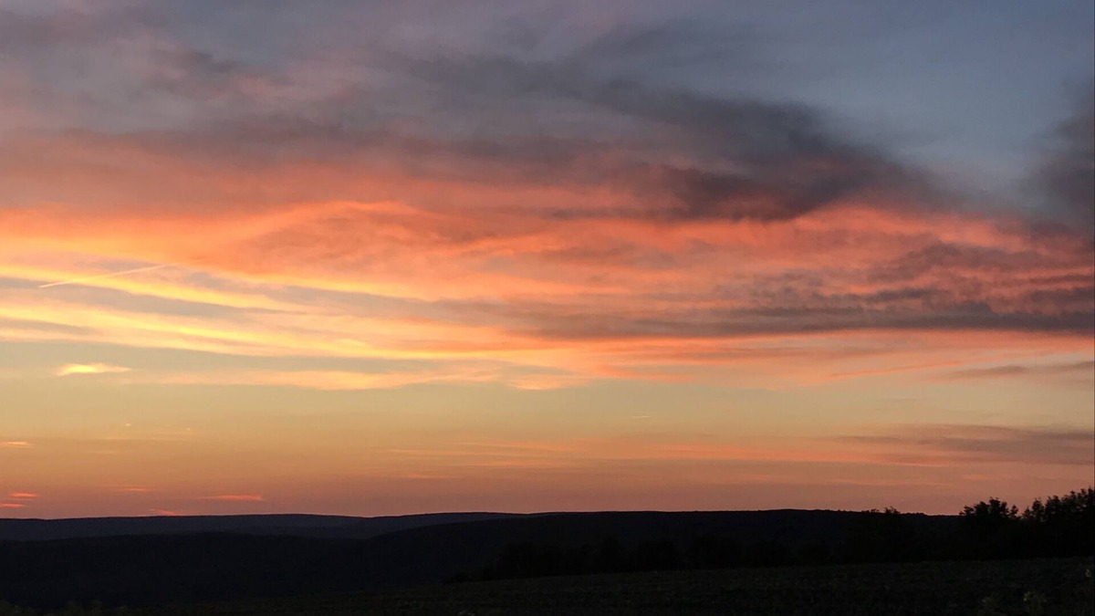 Branchport Cabin | Newly Renovated Rustic Cabin w/WiFi in the Heart of the Finger Lakes