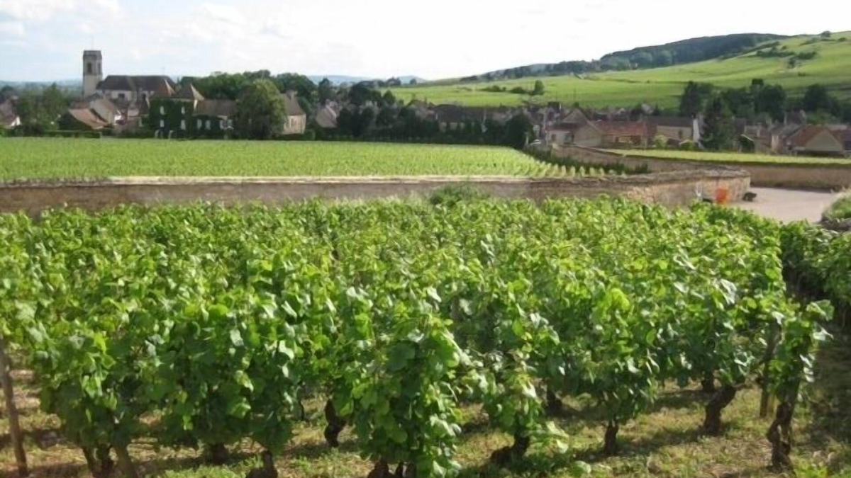 Pommard House | Newly renovated village home with views over the vines of Pommard