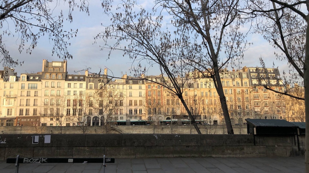 Quartier de la Monnaie Apartment | Next to Notre Dame, in the heart of Paris, charm and refinement. 7 days minimum