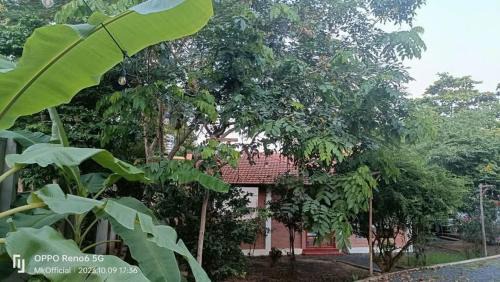 Cu Chi Apartment | Nguyên căn Homestay Mẹ Khang 2