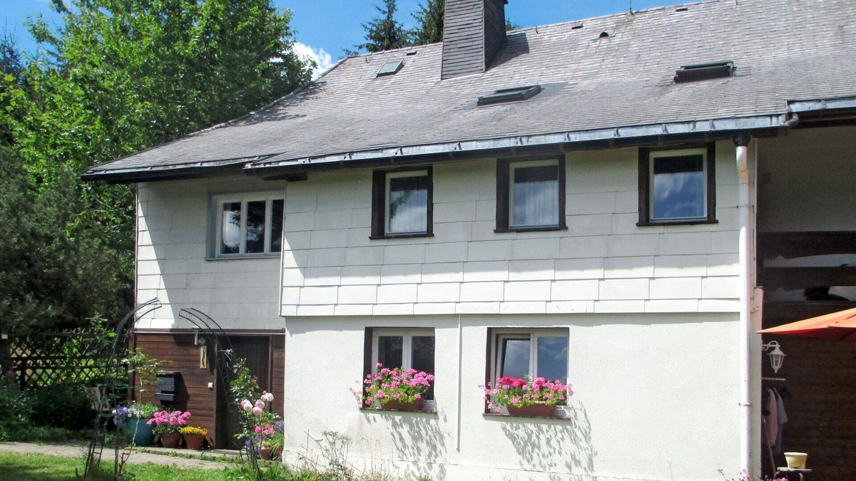 Feldberg Apartment | Nice apartment for 4 people with WIFI, TV, balcony and pets allowed