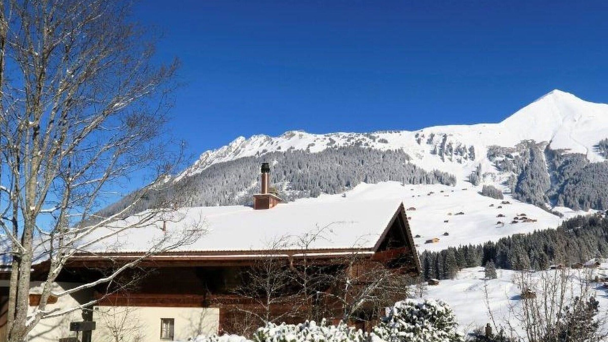 Lauenen Apartment | Nice apartment for 4 guests with WIFI and balcony