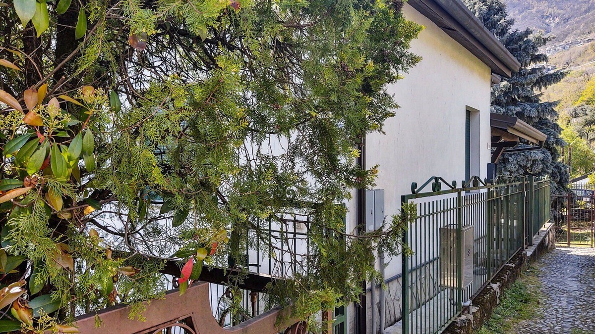 Gera Lario Apartment | Nice apartment for 4 guests with WIFI, TV, terrace and pets allowed