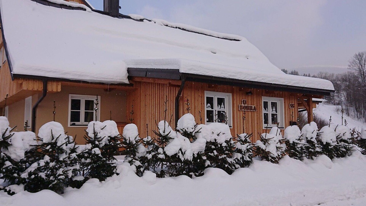 Rokytnice nad Jizerou Villa | Nice apartment in villa for 12 guests with WIFI, TV, patio, pets allowed, panoramic view and par.