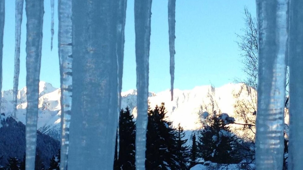 Verbier Apartment | Nice apartment near the center of Verbier Station