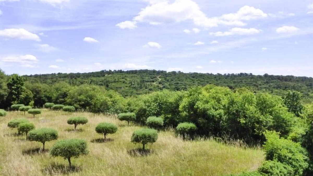 Arpaillargues-et-Aureillac House | Nice holiday home with private terrace, Arpaillargues-et-Aureillac