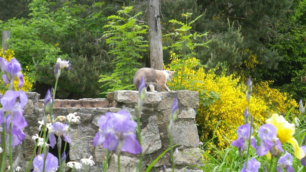 Montregard House | Nice holiday home in the south-east of the Auvergne