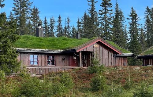 Sjusjoen House | Nice Home In Sjusjøen With Sauna