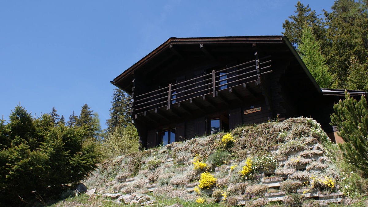 Champex-Lac Ski Chalet | Nice little chalet ideal for a family, garden, calm, rest, lake view