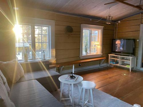 Bollnas House | Nice ski in ski out cabin