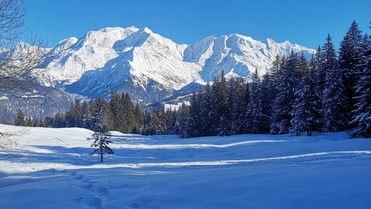 Le Bettex Apartment | Nid Douillet Face au Mont Blanc, Emplacement Idéal été/Hiver