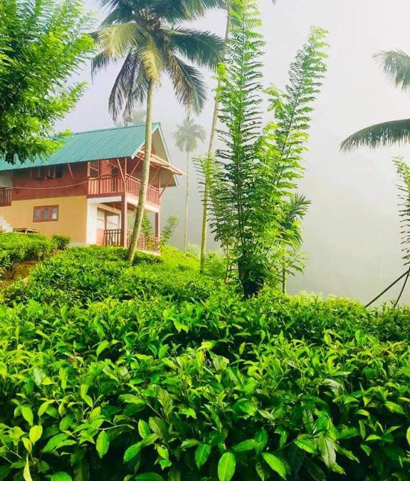 Kotapola House | Niwahana sinharaja