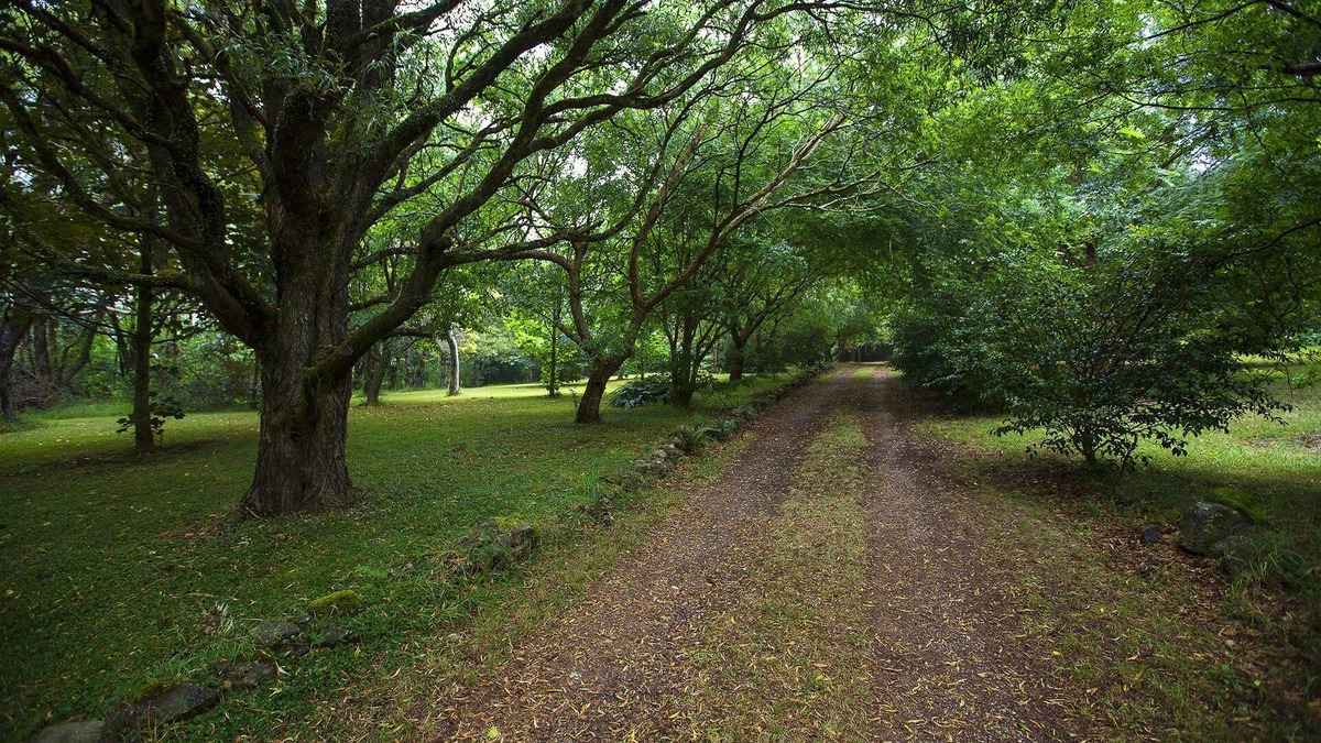Mount Tomah House | NO LONGER AVAILABLE