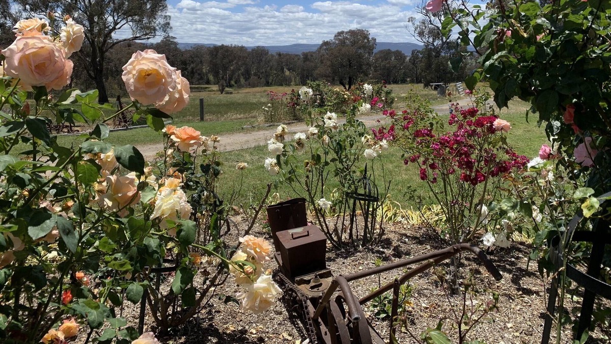 O'connell House | No longer listing property: Do not book. We need to honour current bookings.