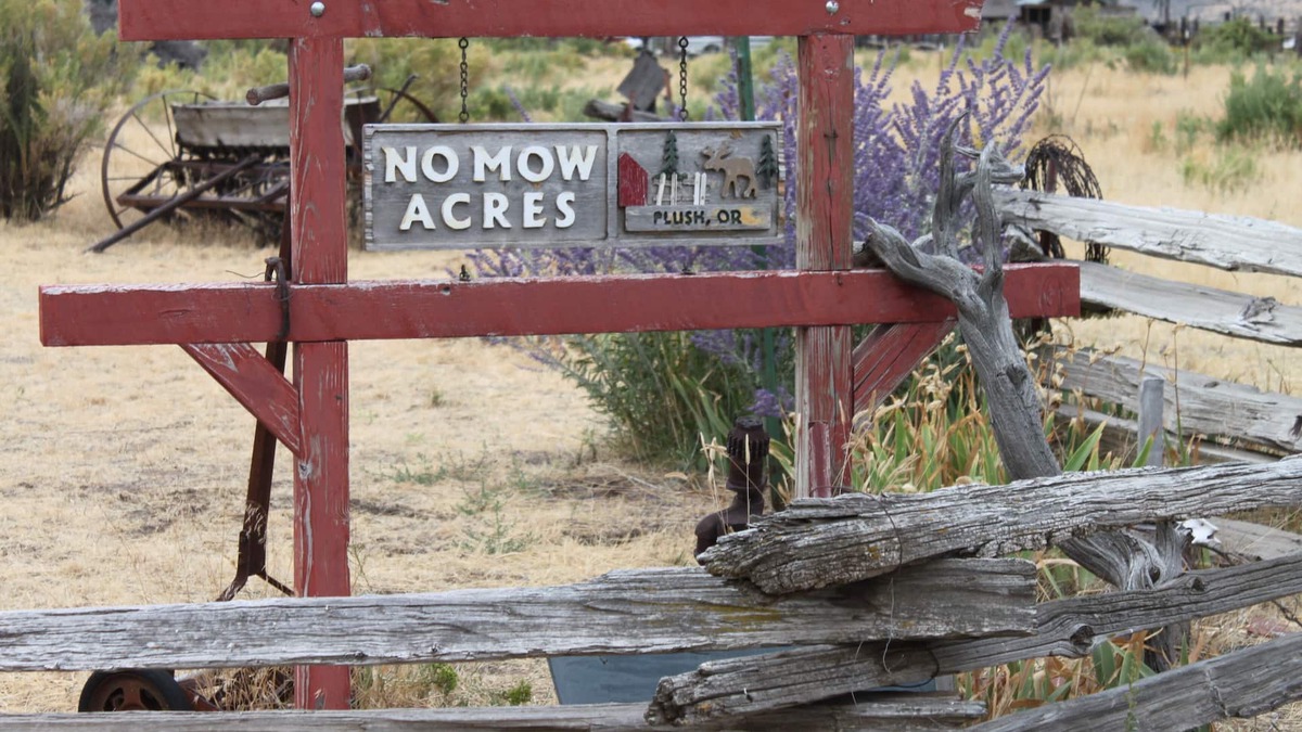 Plush House | No Mow Acres /Located in the Oregon High Desert