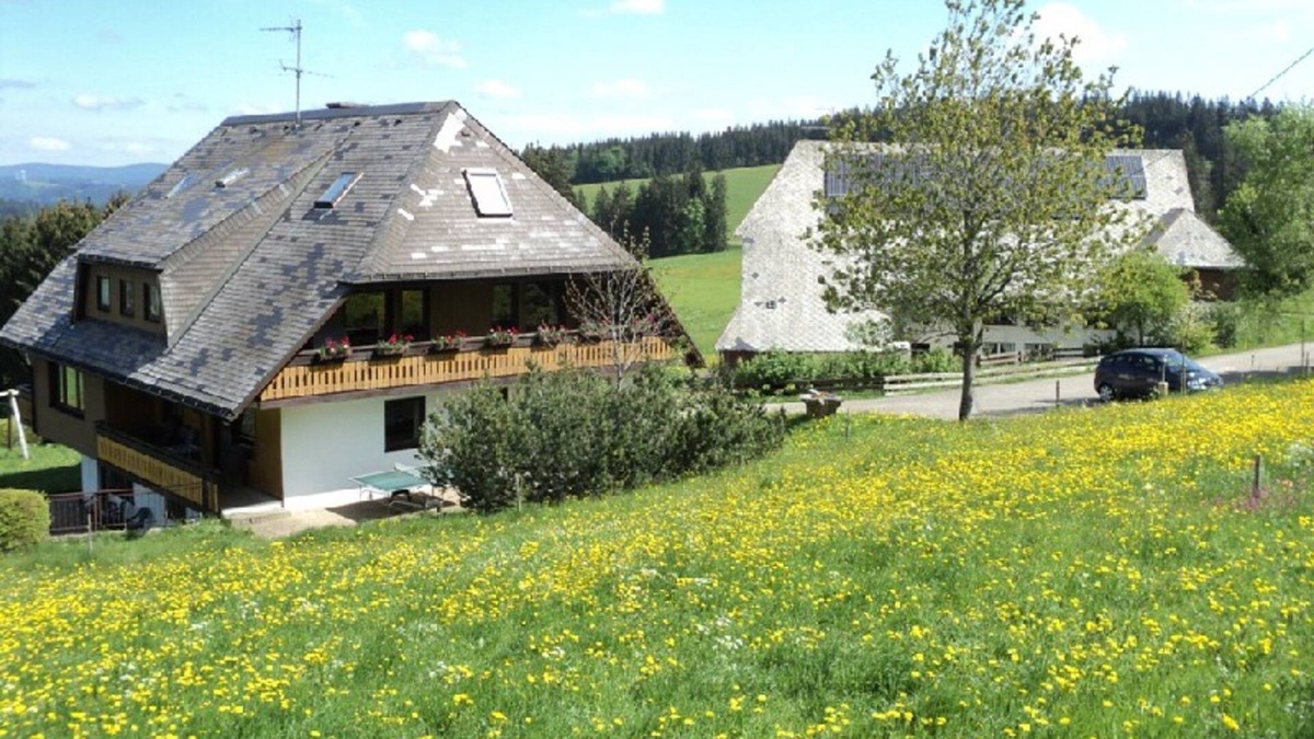 Sankt Maergen Apartment | No2 forest view, 1 - 4 people - Christenmartinshäusle