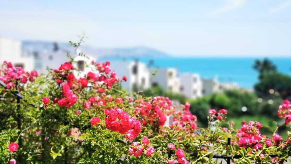 Sinop Hotel | No57 Suites