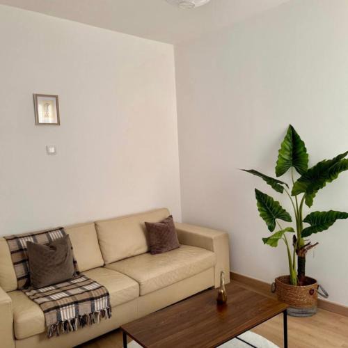 Montigny-les-Metz Apartment | Noami