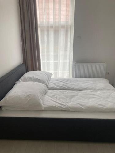 Wałcz Apartment | Nocleg między jeziorami