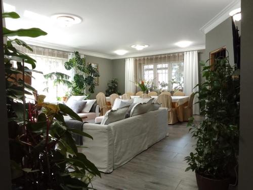 Terespol Bed & Breakfast | Noclegi Lebiedziew