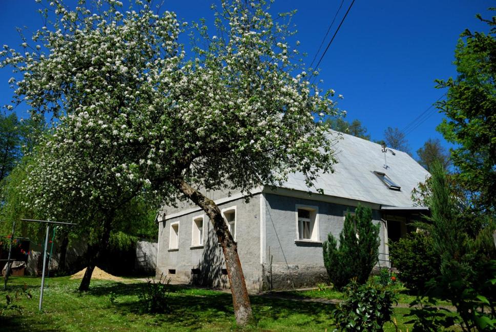Radkow House | Noclegi nad Pośną