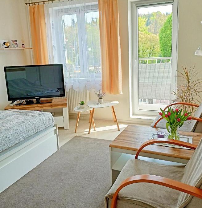 Lwowek Slaski Apartment | Noclegi, Słoneczne Mieszkanie we Lwówku Śląskim