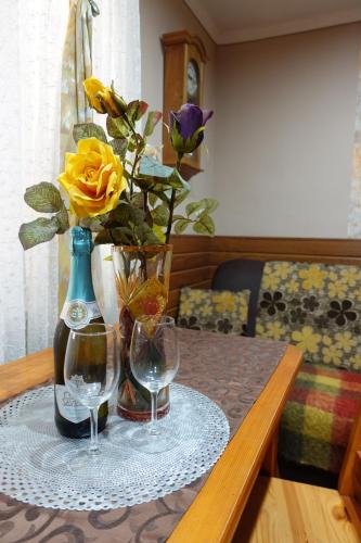 Opatow Apartment | Noclegi u Ani