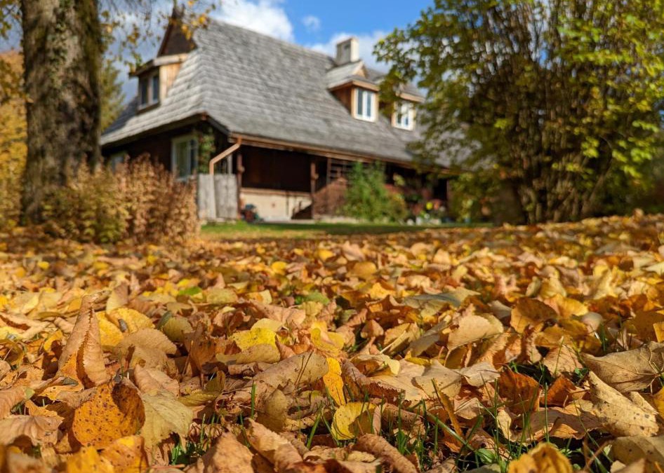 Dwernik Bed & Breakfast | Noclegi U Lestka