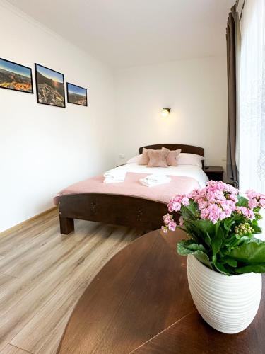 Witow House | Noclegi u Masnych