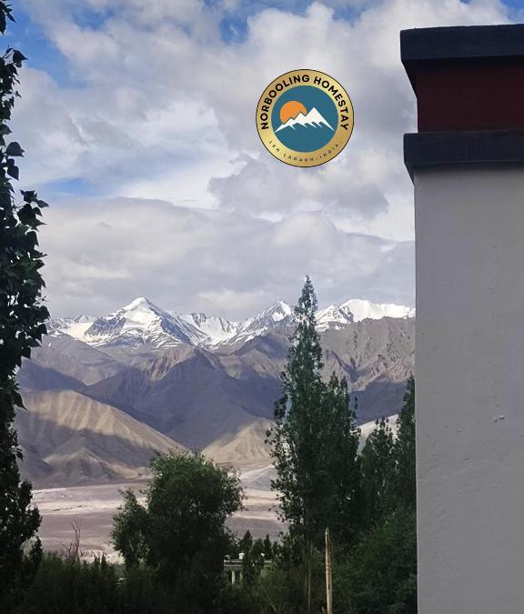 Leh House | Norbooling HomeStay, Leh Ladakh