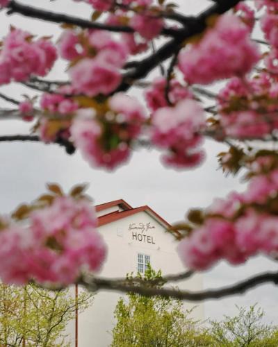 Blue Bell Hotel | Normandy Farm Hotel & Conference Center