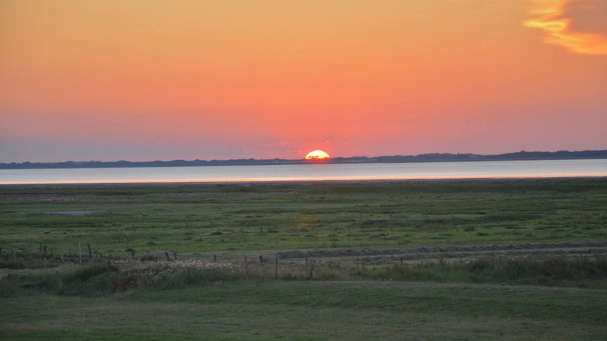 Hilgenriedersiel Apartment | North Sea coast directly on the dike + natural beach