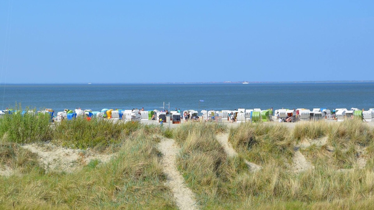 Neßmersiel Apartment | North Sea coast, sandy beach, terrace, small half of the house New!