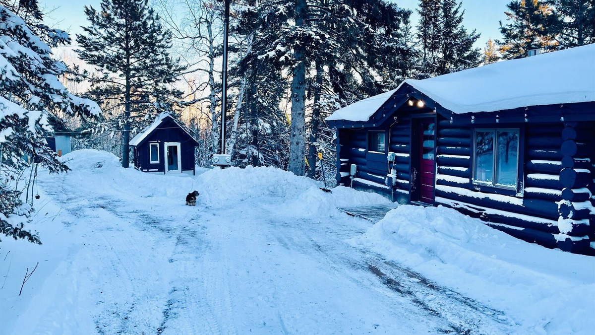 Schroeder Cabin | North Shore Tiny Log Cabin Retreat