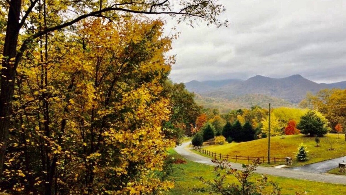 Rabun Gap Cabin | Northeast GA Mountain Cabin-Dillard GA