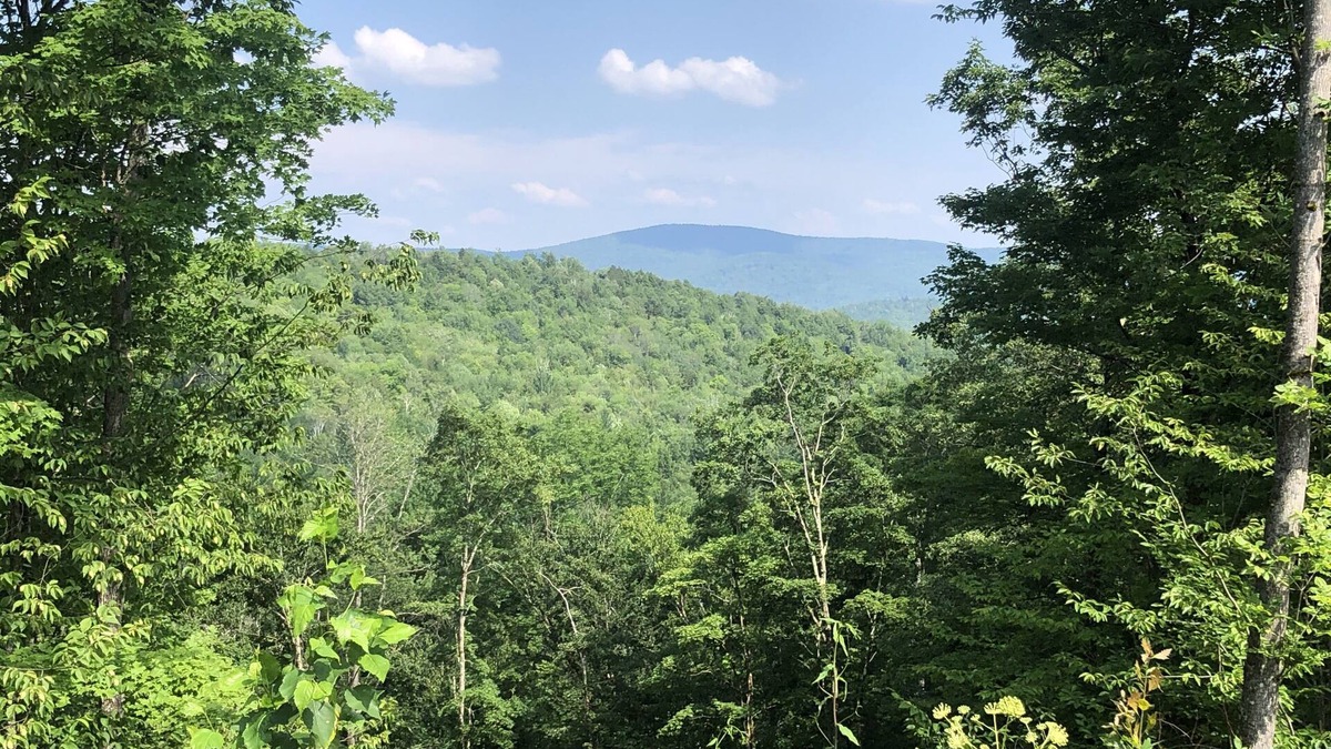 Northfield Cabin | Northfield Cabin with View